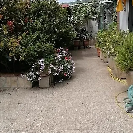 Alloggi Estivi D & A *